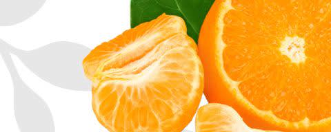 Flavor Producers Natural Tangerine Flavor WONF (ELF1047) banner