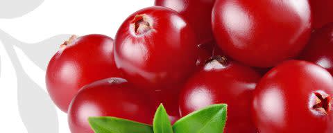 Flavor Producers Organic Cranberry Flavor WONF (≥95% Organic Content) (ELF1017) banner