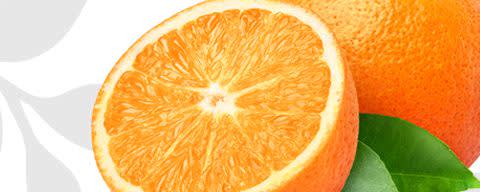 Flavor Producers Natural Orange Flavor WONF (ELF1035) banner