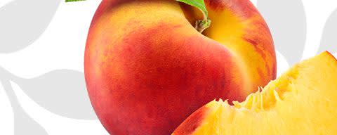 Flavor Producers Natural Peach Flavor WONF (ELF1037) banner