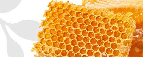 Flavor Producers Organic Honey Flavor WONF (≥95% Organic Content) (ELF1069) banner