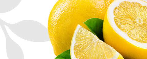 Flavor Producers Natural Meyer Lemon Flavor WONF (ELF1085) banner