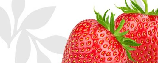 Flavor Producers Natural Strawberry Flavor WONF (Creamy Style) (TTB N&A) (ELF1118) banner