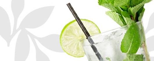 Flavor Producers Organic Lime Mint Molasses Flavor WONF (Mojito Type) (≥95% Organic Content) (ELF1102) banner
