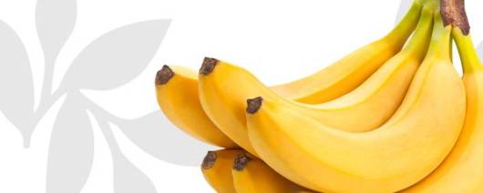Flavor Producers Natural Banana Flavor WONF (ELF1104) banner