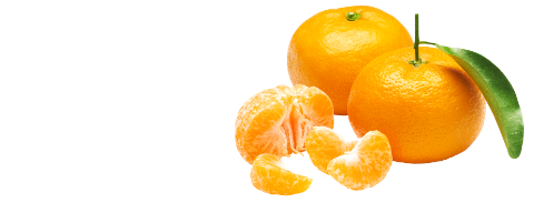 Imbibe Natural Mandarin Orange Flavor WONF (230112) banner