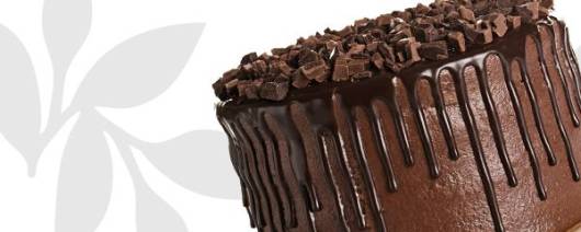 Flavor Producers Natural Chocolate Flavor WONF (Cake Style) (TTB N&A) (ELF1101) banner