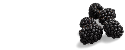 Imbibe Natural Blackberry Flavor WONF (230029) banner