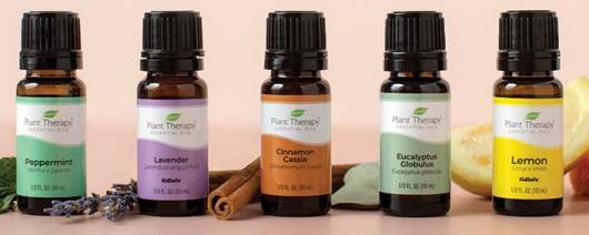 Plant Therapy Essential Oils banner