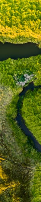 company tower banner