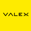 Valex Group LLC Company Logo