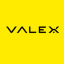 Valex Group LLC Company Logo