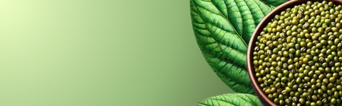 Plant C-Stem™ Vigna Radiata banner