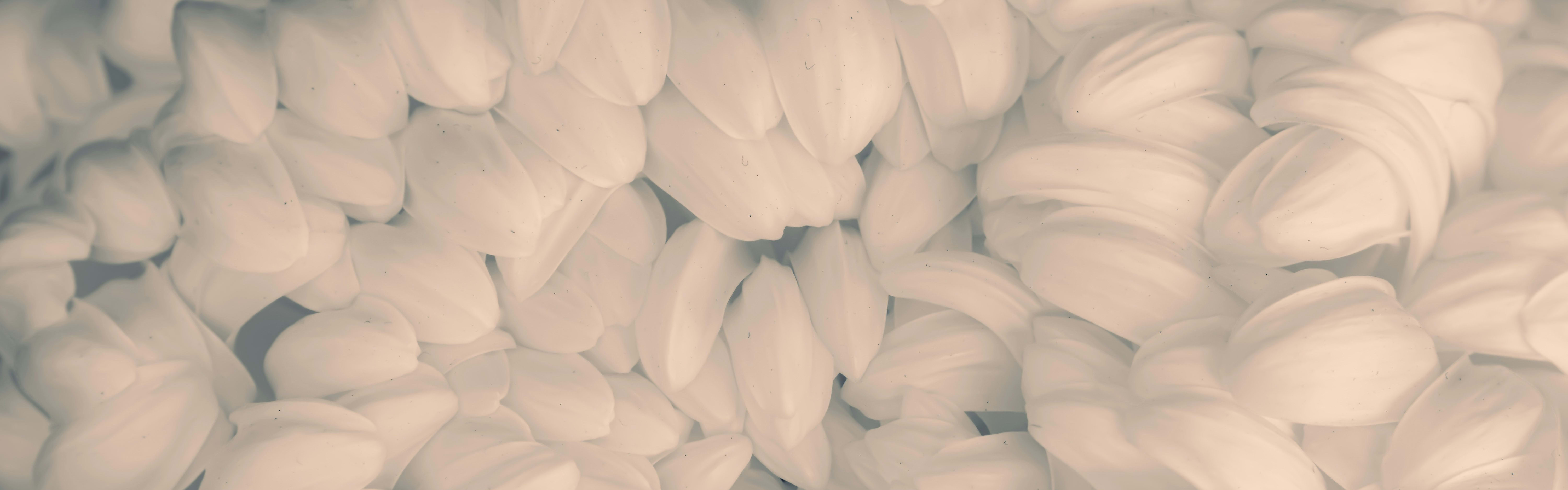 ETHYLEX® 2020 Surface Treatment Starch banner