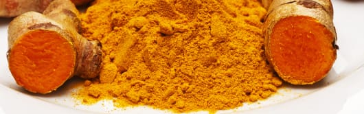 Arjuna Natural Turmeric Extract - 95% stain free powder (CPE - 095 SF) banner