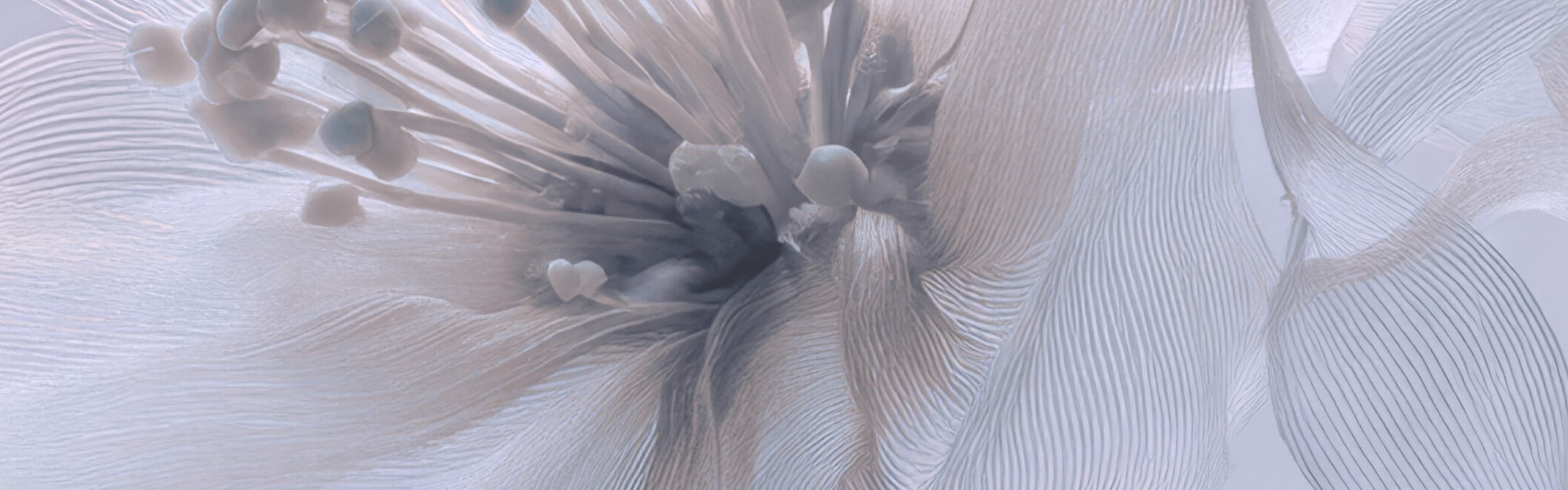 Tuberose Silk PC Fragrance (2160974) banner