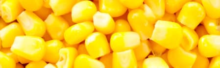 Natural Corn Type FL SD (7237120) banner