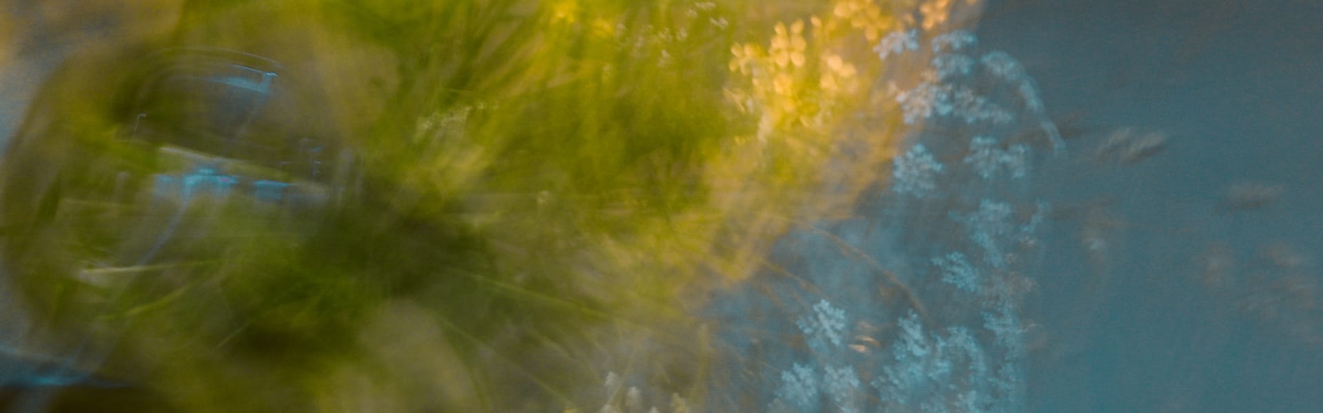 The Visionary (PC) (ORC2500818) banner