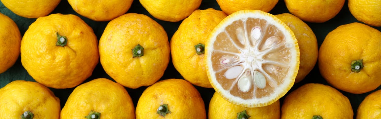 Flavorchem Yuzu Citrus Type Flavor, NAT. (92.3049) banner