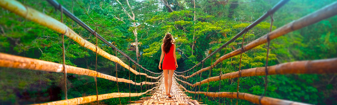 PemuPur™ VISTA Polymer banner