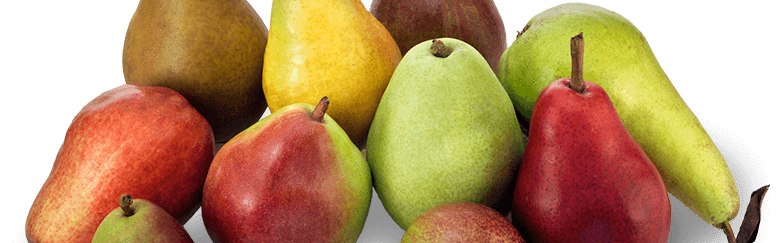 Callisons Pear Flavor NAT WONF WS (104567) banner