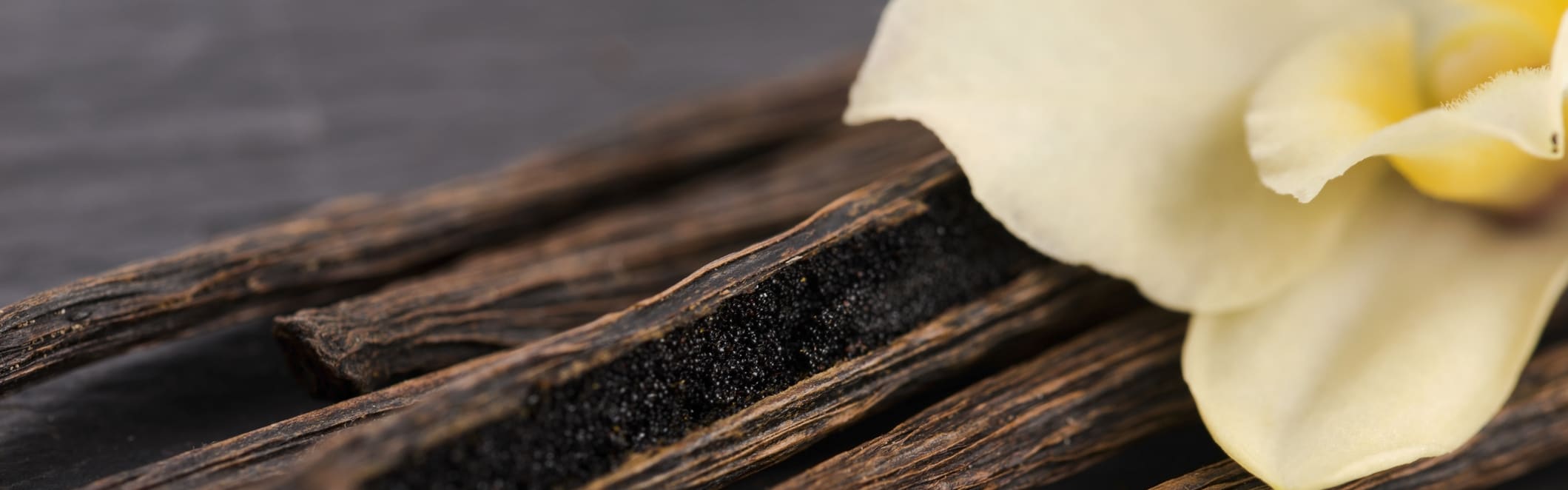 Pure Vanilla Extract Replacer Nat-Wonf (93.5078) banner