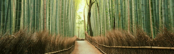 Orchidia Fragrances Kyoto Bamboo Fragrance (ORC2102318) banner