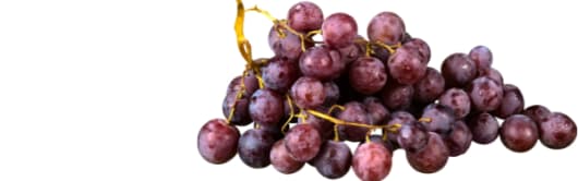 Imbibe Natural Grape Flavor WONF (230085) banner