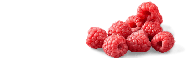 Imbibe Natural and Artificial Raspberry Flavor (230145) banner