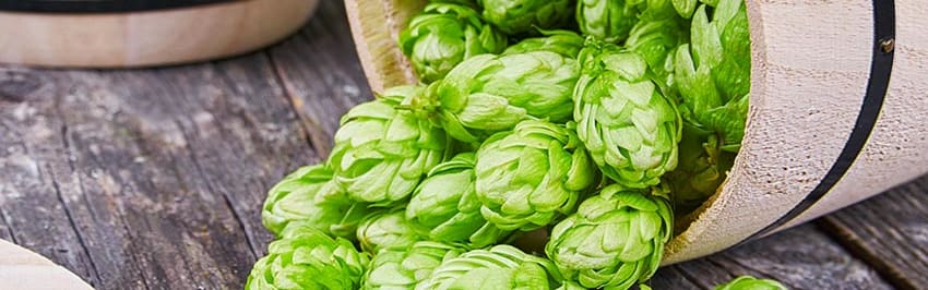 Callisons Hops Amarillo Type Flavor Nat WS (104638) banner