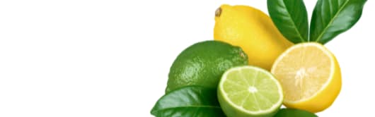 Imbibe Natural Lemon Lime Flavor (230104) banner