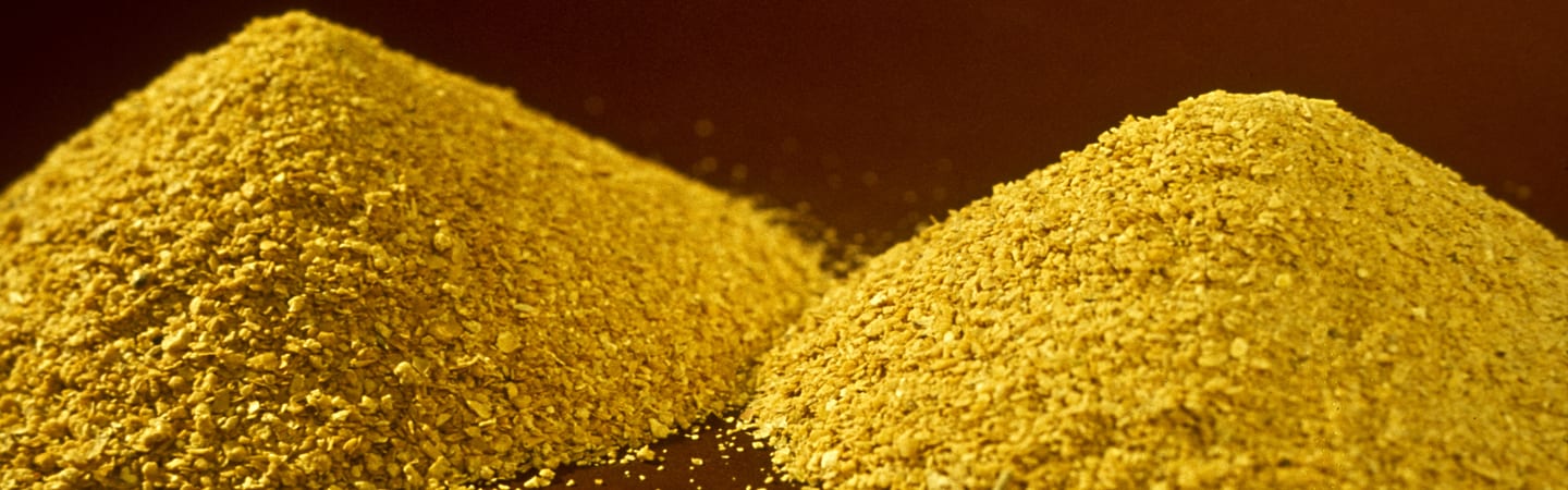 Corn Protein Meal banner
