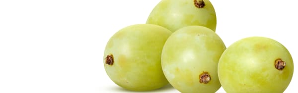 Imbibe Natural Grape Flavor WONF (230086) banner