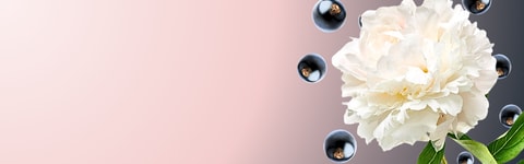 Activoil™ Spotless ZRO banner