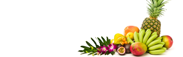 Imbibe Natural Tropical Flavor (230168) banner