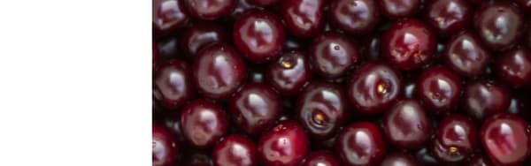 Imbibe Natural Black Cherry Flavor WONF (230049) banner