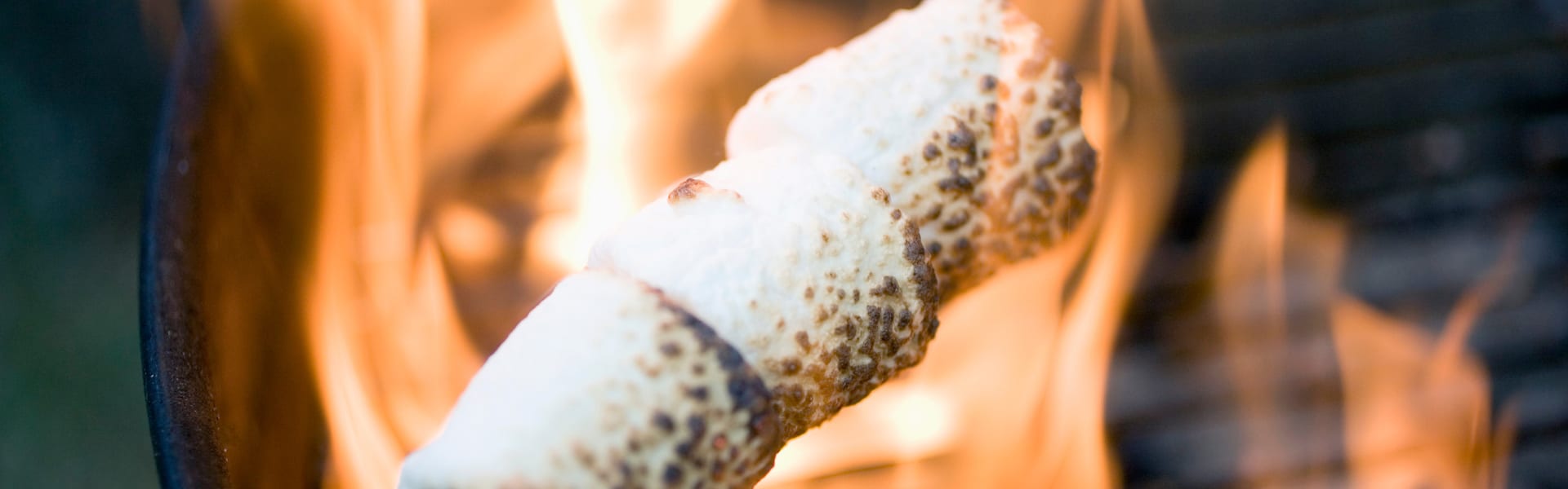 Flavorchem Natural Flavouring Substances Toasted Marshmallow (UF06326) banner