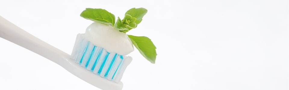 Fresh Mint Flavor NAT OS (108045) banner
