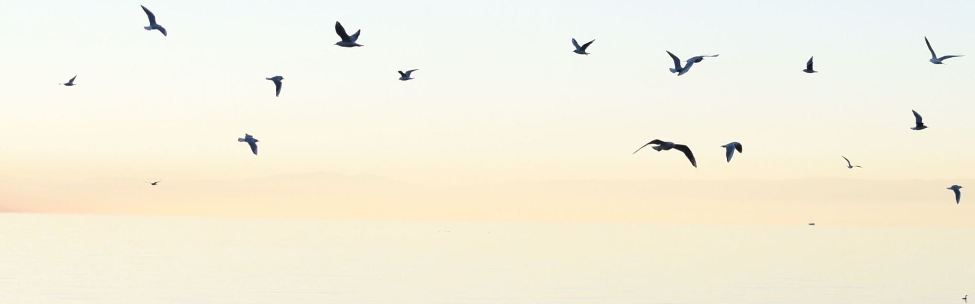 Blue Lagoon (ORC2402106) banner