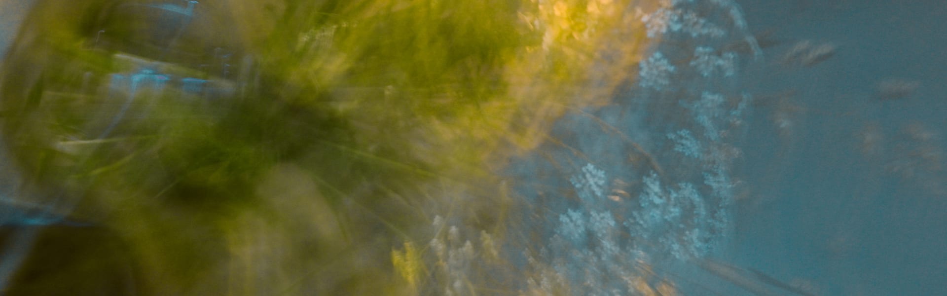 The Visionary (Candle) (ORC2500819) banner