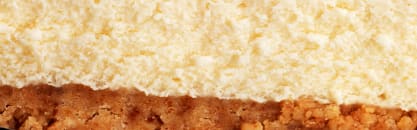 Natural Cheesecake Type FL SD (7237105) banner