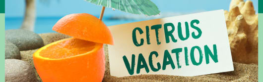 Flavorchem Citrus Vacation banner