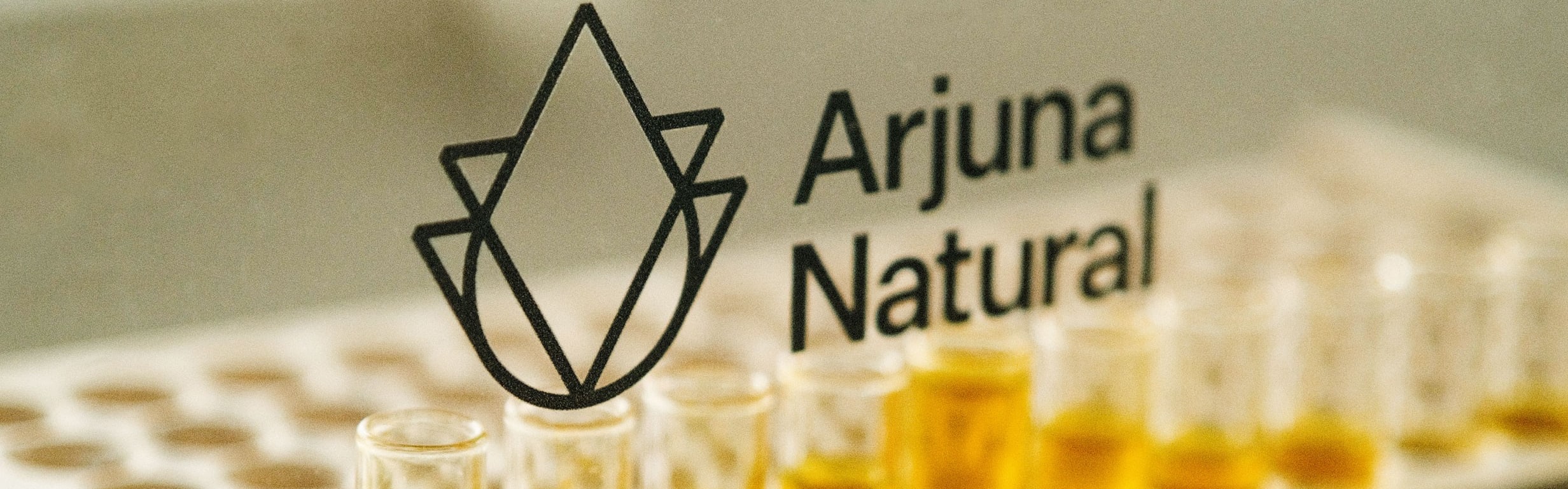 Arjuna Natural Ginger Root Powdered Extract 5% (GDE - 050) banner