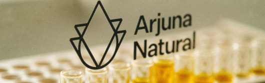Arjuna Natural Turmeric Extract - 95% ethanol powder (CPE - 024 A) banner