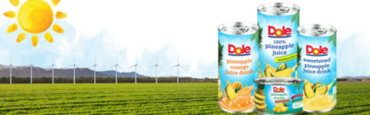 Dole Speciality Ingredients Clarified Pineapple Juice Concentrate banner