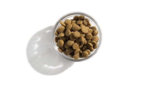 Animal Feed & Nutrition