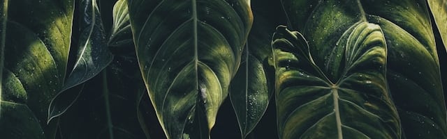 Verdant Suede Fragrance Candle (ORC2402163) banner