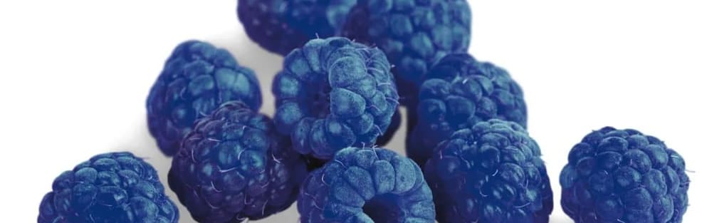 Callisons Blue Raspberry Type Flavor WS (113252) banner