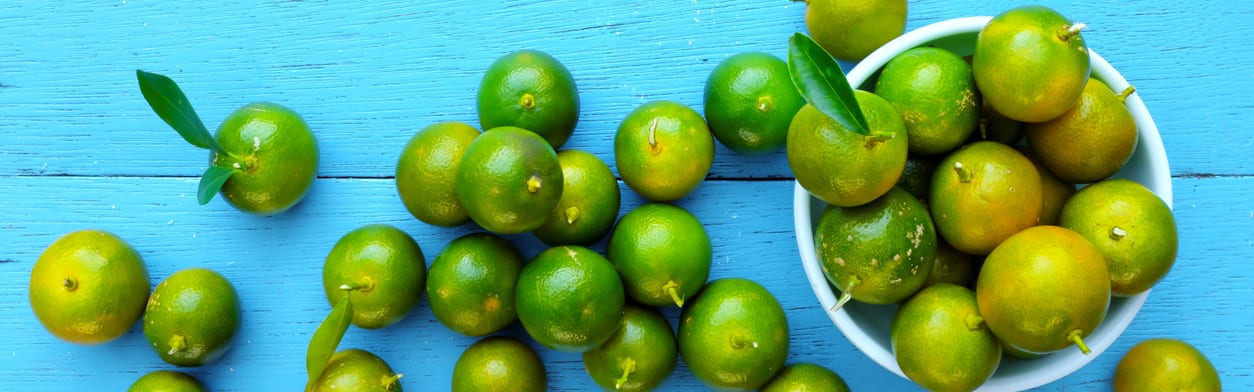 Flavorchem Fresh Calamansi Lime Type FL. NAT. (52.6014) banner