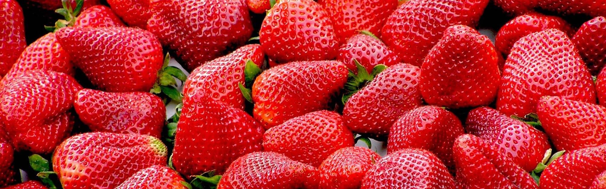Food Ingredients™ Strawberry Flavor banner